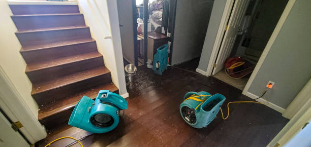 Best Flood damage cleanup  in Ainsworth, NE
