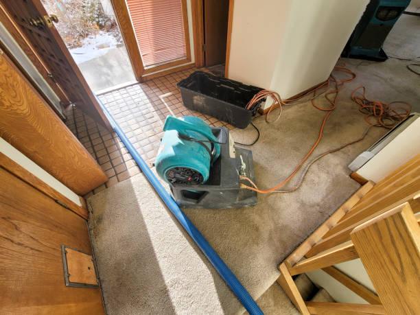 Carpet water damage restoration in Ainsworth, NE