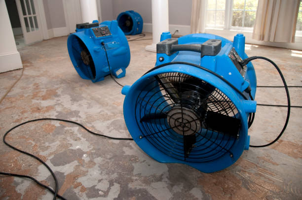 Sewage cleanup and water damage restoration in Ainsworth, NE