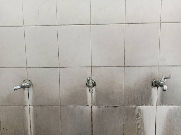 Best Basement water damage restoration  in Ainsworth, NE