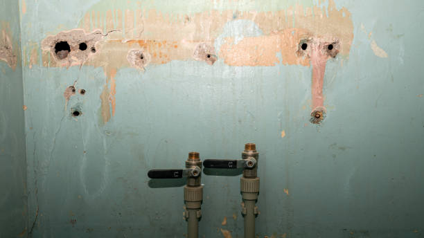 Best Water damage restoration near me  in Ainsworth, NE